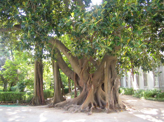 Nasjonalt naturhistorisk museum